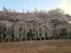 -止园酒店-中餐厅