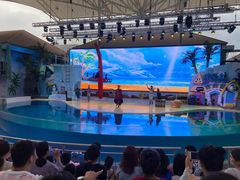 -三亚海昌梦幻海洋不夜城