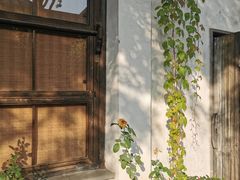 -青果巷历史文化街区