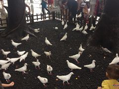 -杭州君悦酒店