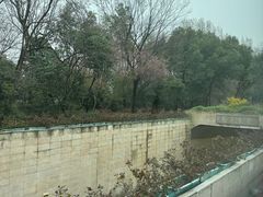 -中国茶叶博物馆(双峰馆区)