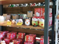 -猫咪博物馆(顶澳仔猫街店)