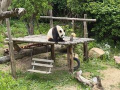 -杭州野生动物世界