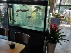 -了不起的考拉咖啡店(高新店)