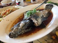 珍珠斑-崖口红树林海鲜餐厅
