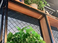 -四斤烤肉(东戴河孟家店)