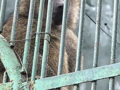 -秦皇岛野生动物园