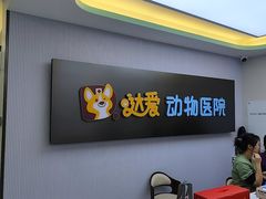 -达爱动物医院·犬猫分区·CT·复杂眼科(远洋山水分院)