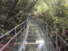 -西游洞风景区