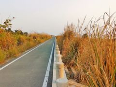 -芒洲湿地公园