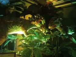 -恐龙探索乐园(磁器口店)