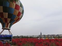 -美的鹭湖森林度假区