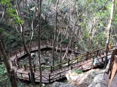 -大岭沟猕猴桃谷风景区