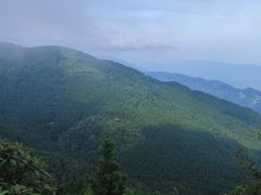 -武陵山森林公园