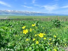 -新疆那拉提国家旅游度假区