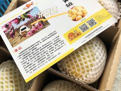 -樂桃源奉贤黄桃种植采摘基地