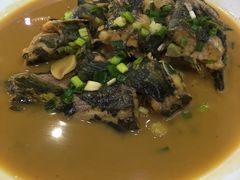 -全乐鱼馆·淳牌有机鱼直营店