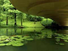 -云溪植物园
