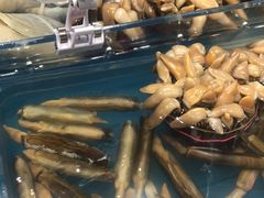 竹蛏-盒马鲜生(曜一城店)