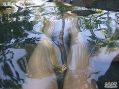 -三亚珠江南田温泉度假区
