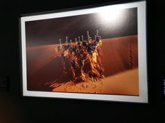 -罗红摄影艺术馆