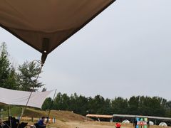-上林马术中央公园·户外露营·团建·骑乘
