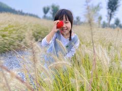 -汉长安城未央宫国家考古遗址公园