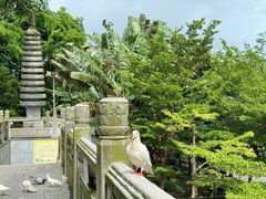 -博鳌禅寺