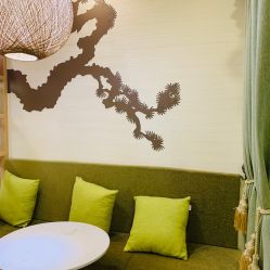 -芳朵美容养生SPA