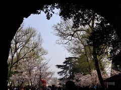-南京城墙景区