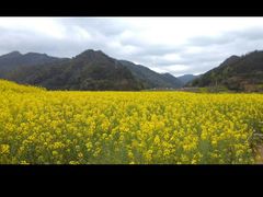 -新安江山水画廊风景区