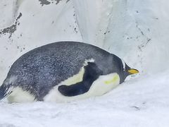 -南昌海洋公园
