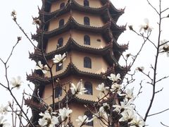 -正觉寺