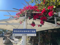 -南诏风情岛