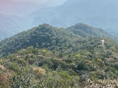 -大岭沟猕猴桃谷风景区