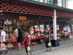 -南沙十九涌渔人码头-南门