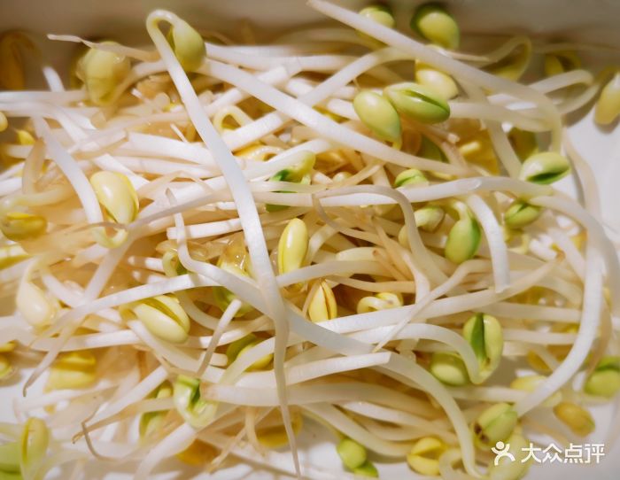 爱辣屋(市图书馆店)-豆芽图片-西安美食-大众点评网