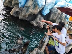 -华夏文旅海洋公园