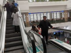 -上海市东方医院(总院)