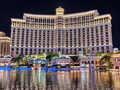 -拉斯维加斯永利酒店