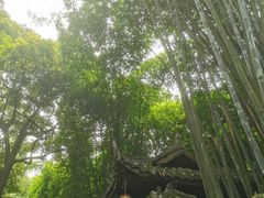 -黑竹香鸡(营和巷店)