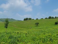 -塞罕坝国家级自然保护区