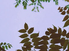 -白公馆