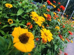 -白河湾山水缘民宿