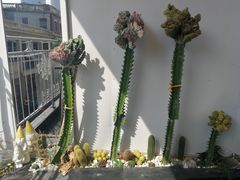 -Eckl’s爱氏热狗(猫街店)