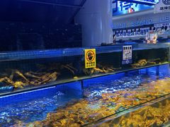 -驻海渔市(置信店)