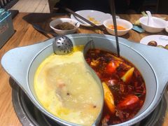 -青瓷火锅料理(西单大悦城店)