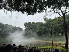 -广州长隆飞鸟乐园
