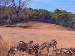 -沈阳森林动物园