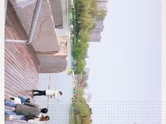 -青枫公园